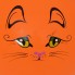 Мяч-прыгун детский Spokey Kitty 45 см Оранжевый (s0314)