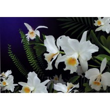 Фотообои АРТ-декор Дикая орхидея 194х278 см (4537)