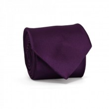 Галстук Мужской Фиолетовый Gin-2225
