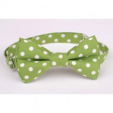 Галстук Бабочка SF Зеленая В Горошек Ab-171