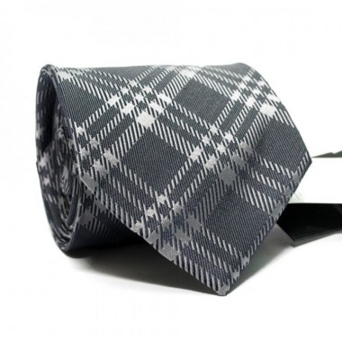 Галстук Мужской Серый Gin-2197