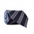 Галстук Мужской Синий Фиолетовый Gin-2126