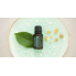 Смесь эфирных масел для восстановления равновесия doTerra Balance® Grounding Blend «Баланс» 15 ml 