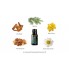 Смесь эфирных масел для восстановления равновесия doTerra Balance® Grounding Blend «Баланс» 15 ml 
