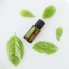Эфирное масло Базилика doTERRA Basil OIL 15ml