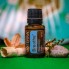 Смесь эфирных масел для очищения дыхательных путей doTerra Breathe® Respiratory Blend «Дыхание» 15 ml 