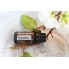 Эфирное масло Копайбы doTERRA Copaiba OIL 15ml