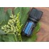 Успокаивающая смесь эфирных масел для мышц dōTERRA Deep Blue Soothing Blend / Глубокая синева 5 ml 
