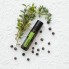 Смесь эфирных масел dōTERRA Forgive® Touch Renewing Blend / «Прощение» в роллере 10 ml