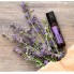 Эфирное масло Лаванды dōTERRA Lavender Touch в роллере 10 ml