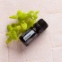 Эфирное масло doTerra Melissa / Мелисса 5ml