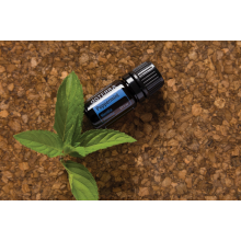 Эфирное масло Перечной мяты (Mentha piperita) PEPPERMINT ESSENTIAL OIL doTerra 5ml