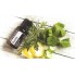Очищающая смесь эфирных масел doTerra PURIFY Cleansing Blend «Очищение»15 ml 