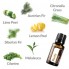 Очищающая смесь эфирных масел doTerra PURIFY Cleansing Blend «Очищение»15 ml 