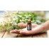 Эфирное масло doTerra Roman Chamomile / Римская Ромашка 5ml